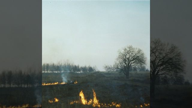 Холодно смотреть онлайн