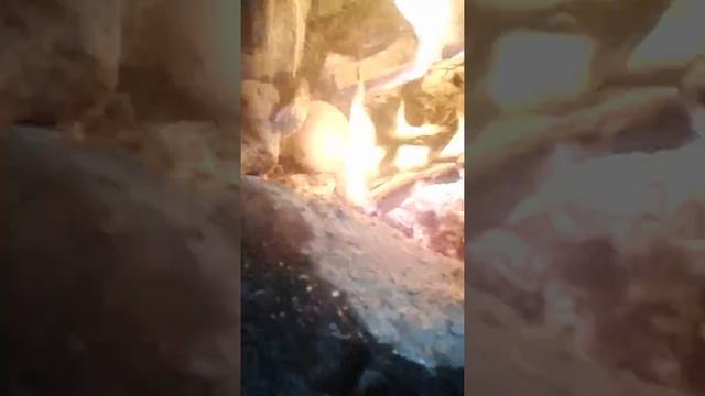 Что будет, если кинуть яйцо в костер? смотреть онлайн