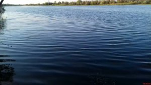 Cнасть "Косынка" ловля на водоёме.
