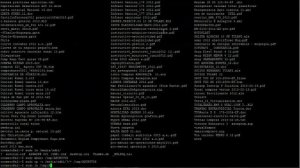Удаление вирусов с USB-накопителя в Linux с помощью командной строки