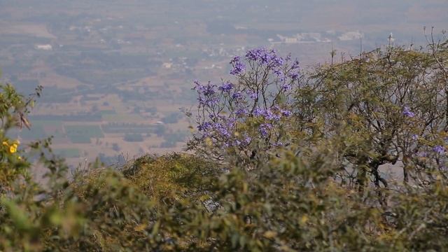Как получить ответ от Бога | Воззовите к Нему | Ташенов Максим | Пять минут о вечном смотреть онлайн