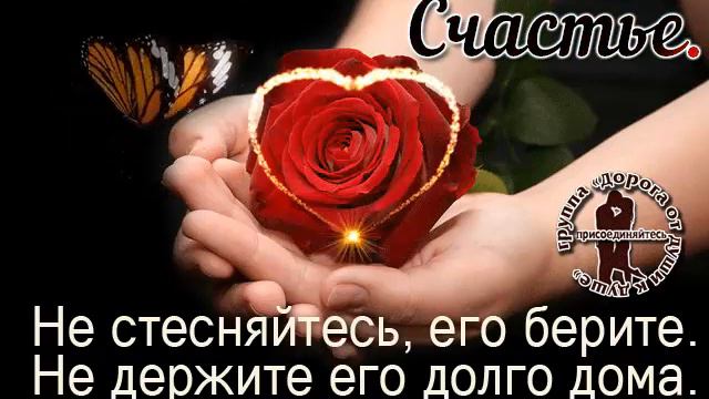 9 декабря 2017 г. смотреть онлайн