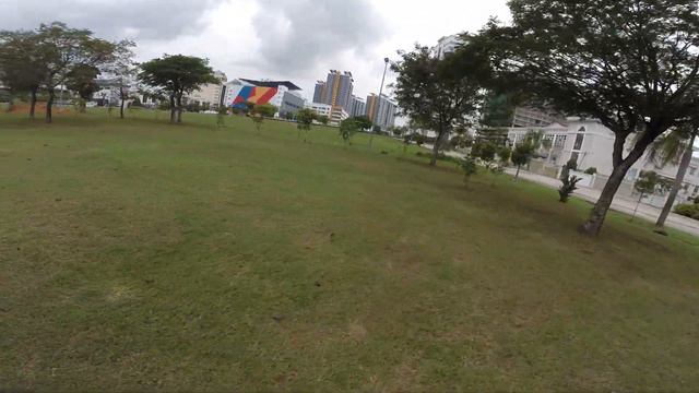 RUNNER 250 FPV TRAINING WITH GOPRO HERO 3+ смотреть онлайн