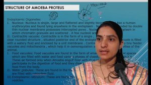 Amoeba Complete Topic||Study Of Amoeba||.B.Sc zoology Hons||#amoebastudy