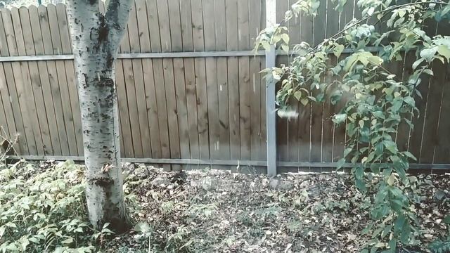 Первый снег на даче смотреть онлайн