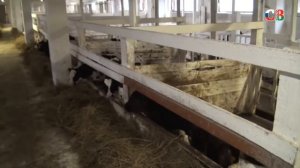 Магаданское фермерское хозяйство «Комарова»