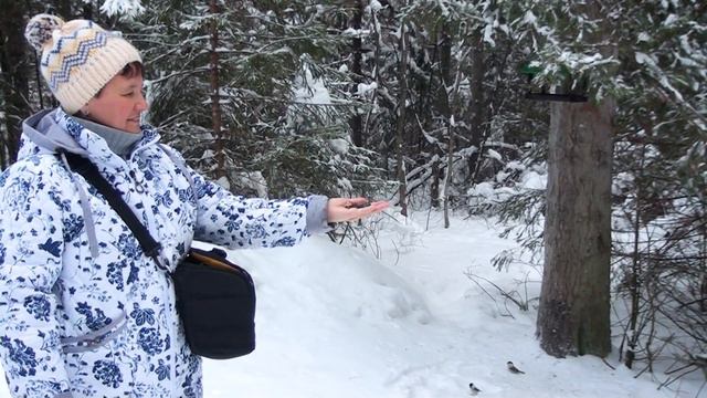 Кормим птичек таганайских  8 января - 2022 