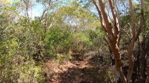 Из Кемера в поселок Кириш-тропа через гору с флагом,как пройти