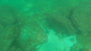 Охота на судака Актау