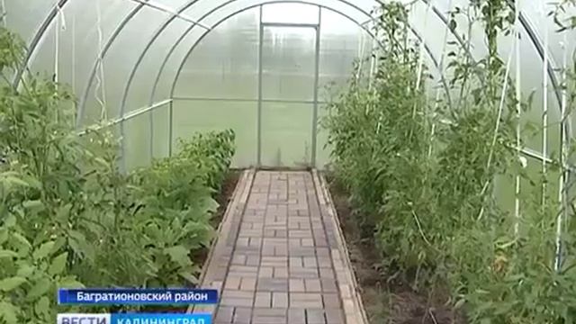 Владимировский детский сад.mp4