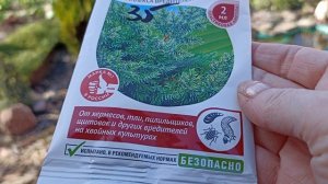 УХОД за ХВОЙНЫМИ весной! Санитарная чистка, обработка от вредителей и болезней!