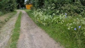 Беларусь. Деревня. Какие дома покупают под дачи. Часть 2.