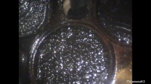 TOYOTA AVENSIS 1ZZ капиталка 1ч ..снимаем двс