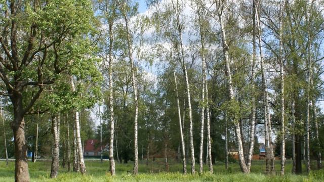 Моё Жилёво