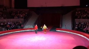 Новосибирский цирк. Клоун.