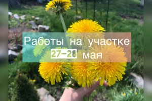 Работы на участке 27-28 мая 2023 года