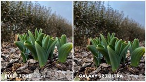 Google Pixel 7 Pro VS Samsung Galaxy S23 Ultra | Camera Test & Comparison