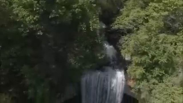 Сестра с семьей в гости напросилась, а оказалось, что я их еще и развлекать за свой счет должна был смотреть онлайн