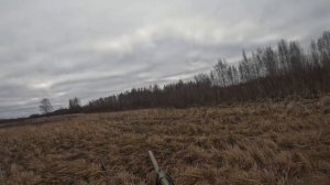 Охота на косулю сайга 12с