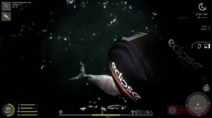 Набег на точку? Рыба - меч на 80-ой банке?Троллинг #rf4 #русскаярыбалка4 #рр4 #норвежскоеморе