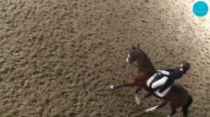 Калра Салина и Спартакус, Командный приз Дети 70,49%. Чемпионат РК по выездке, Алматы, 30-06-23