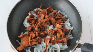 Грибы сушеные жареные
