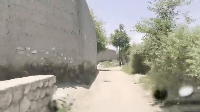 Хаскса Мина Шинвар