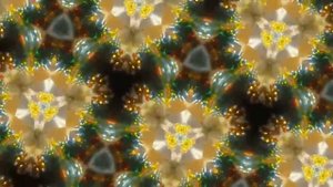 Узоры в калейдоскопе