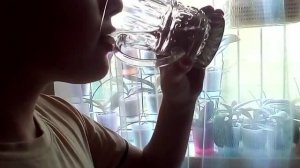 Человек блевает водой