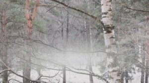 Кобяков Аркадий--: Мы встретились с тобой
