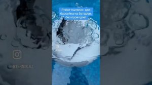 Робот пылесос для бассейна Termix Pool TP- 1000.
