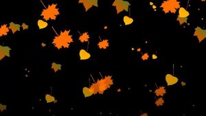 Футаж листопад осений желтых листьев подымаются в воздух/Footage autumn leaf fall yellow leaves ris