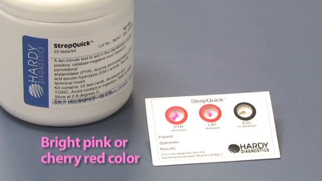 StrepQuick™ PYR Test Kit for rapid Group A Strep Identification смотреть онлайн