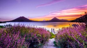 Аму Мом "Мудрая книга ответов на твои вопросы"