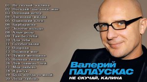ЛУЧШИЕ ПЕСНИ ВАЛЕРИЙ ПАЛАУСКАС 2022 2023 THE BEST SONGS