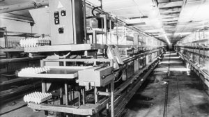 Новая техника для птицеводства, 1978.