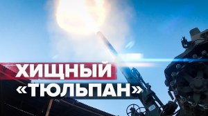 Боевая работа миномёта «Тюльпан» в зоне спецоперации — видео
