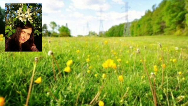 "Подари..." Наталья Явилина (Стихи. Читает автор) смотреть онлайн