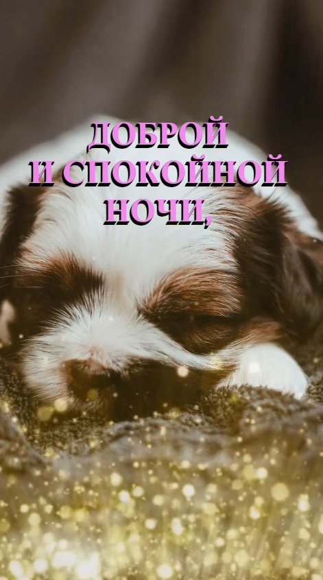 Доброй и спокойной ночи.