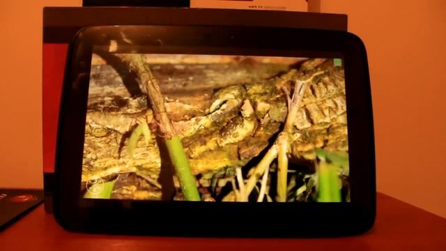 Nexus 10 Review! Still holds up today смотреть онлайн