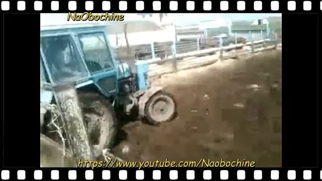 МТЗ 82 Легендарный трактор на бездорожье! ТРАКТОР мчался по бездорожью, слегка попахивая!