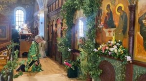 Коленопреклоненные молитвы на Троицу