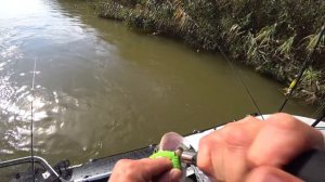 Рыбалка в Астрахани осенью живём в палатке. Ловим судака, жереха в штормовой ветер.