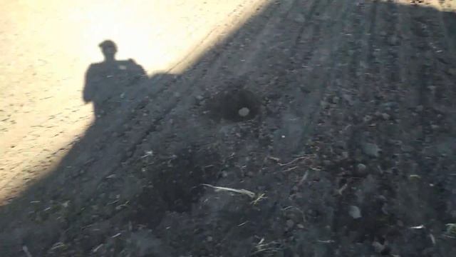 Посев кукурузы 1 мая 2018 г. смотреть онлайн