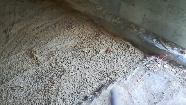 ДЕЛАЮ НАСТОЯЩИЙ ДВОРЕЦ ДЛЯ ЖИВОТНЫХ. смотреть онлайн