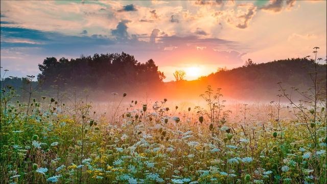 Длинный летний день (сказка) - Михаил Нашельский смотреть онлайн
