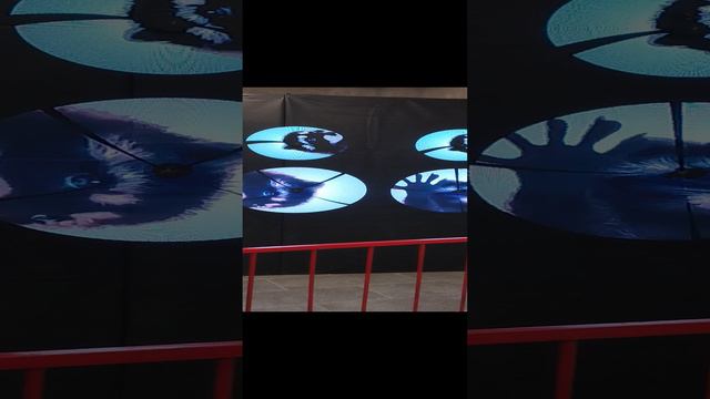 НОВЫЙ РОБОПАРК БРЯНСК 2024