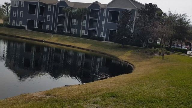 150. Странный звук падающих бусин. смотреть онлайн