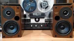 Allan Taylor - Down The Years I Travelled & Onkyo D-032AX