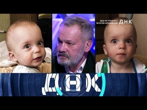"ДНК": "Дед не признает внуков-близнецов!"